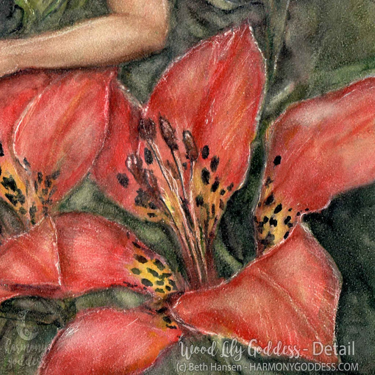 Wood Lily Goddess Art Print