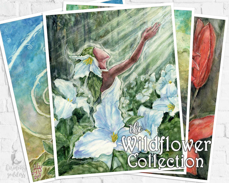 Wildflower Collection